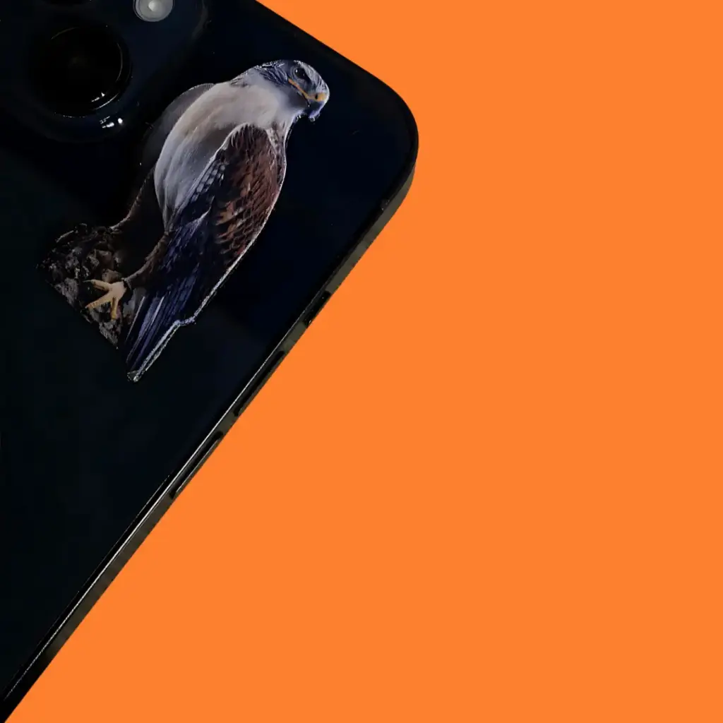 Metal sticker of a falcon